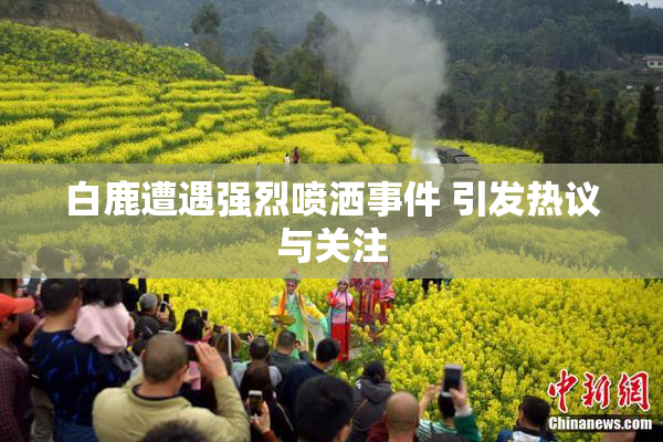 白鹿遭遇强烈喷洒事件 引发热议与关注