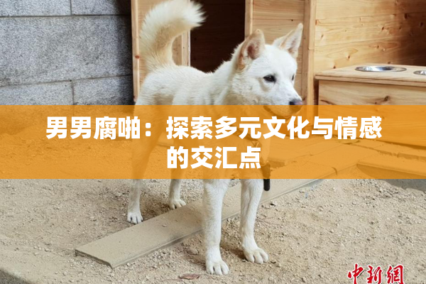 男男腐啪：探索多元文化与情感的交汇点