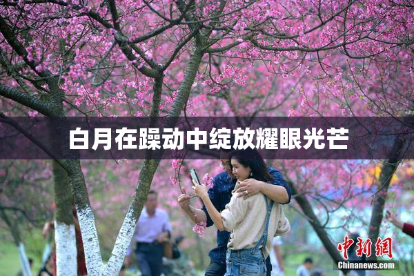 白月在躁动中绽放耀眼光芒