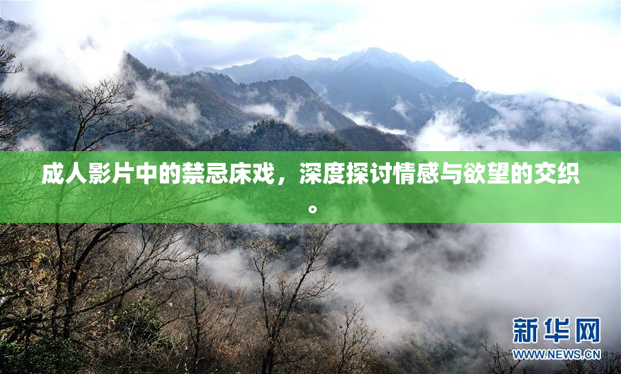 成人影片中的禁忌床戏，深度探讨情感与欲望的交织。