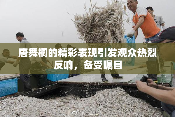 唐舞桐的精彩表现引发观众热烈反响，备受瞩目
