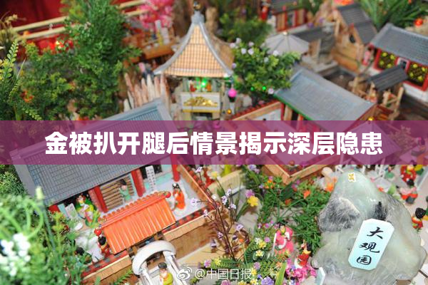 金被扒开腿后情景揭示深层隐患