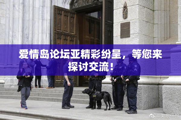 爱情岛论坛亚精彩纷呈，等您来探讨交流！