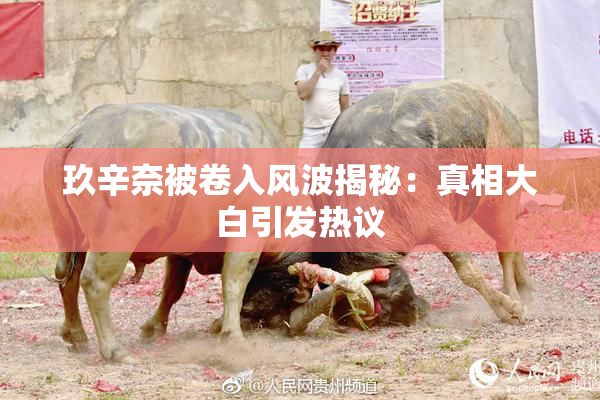 玖辛奈被卷入风波揭秘：真相大白引发热议