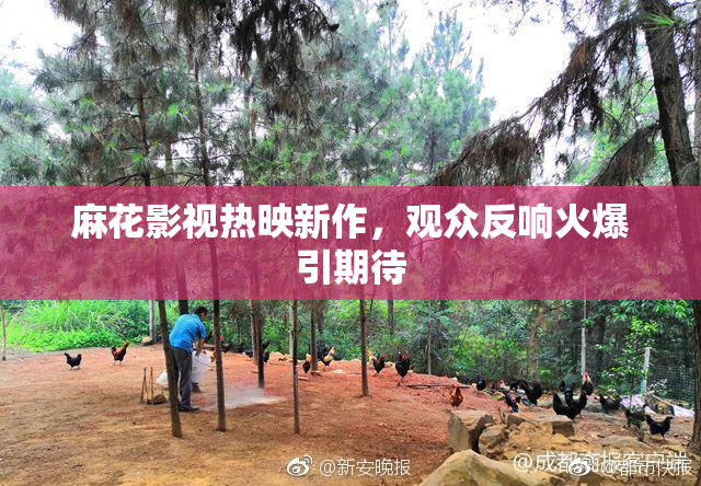 麻花影视热映新作，观众反响火爆引期待