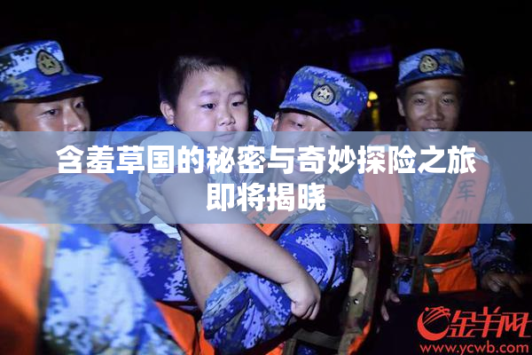 含羞草国的秘密与奇妙探险之旅即将揭晓