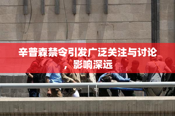 辛普森禁令引发广泛关注与讨论，影响深远