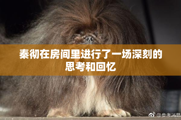 秦彻在房间里进行了一场深刻的思考和回忆