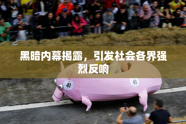 黑暗内幕揭露，引发社会各界强烈反响