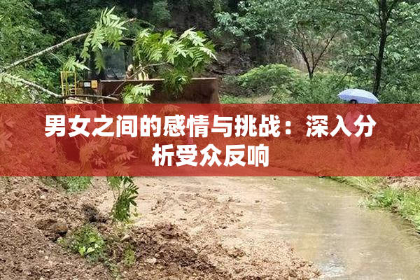 男女之间的感情与挑战：深入分析受众反响