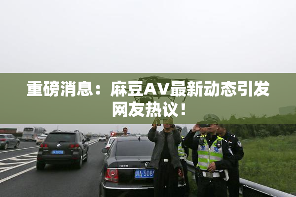 重磅消息：麻豆AV最新动态引发网友热议！