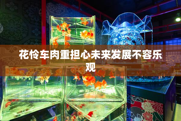 花怜车肉重担心未来发展不容乐观