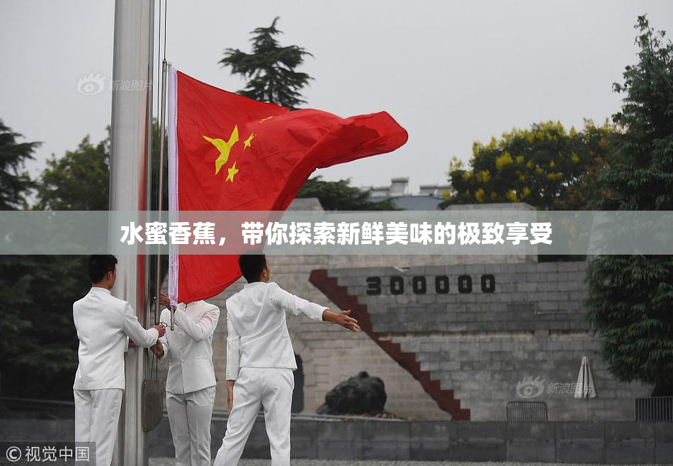 水蜜香蕉，带你探索新鲜美味的极致享受