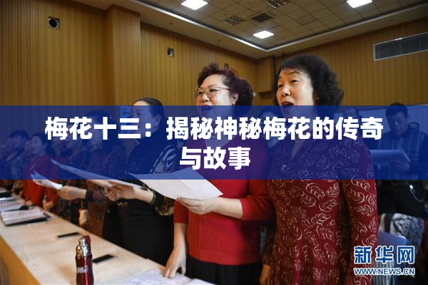 梅花十三：揭秘神秘梅花的传奇与故事