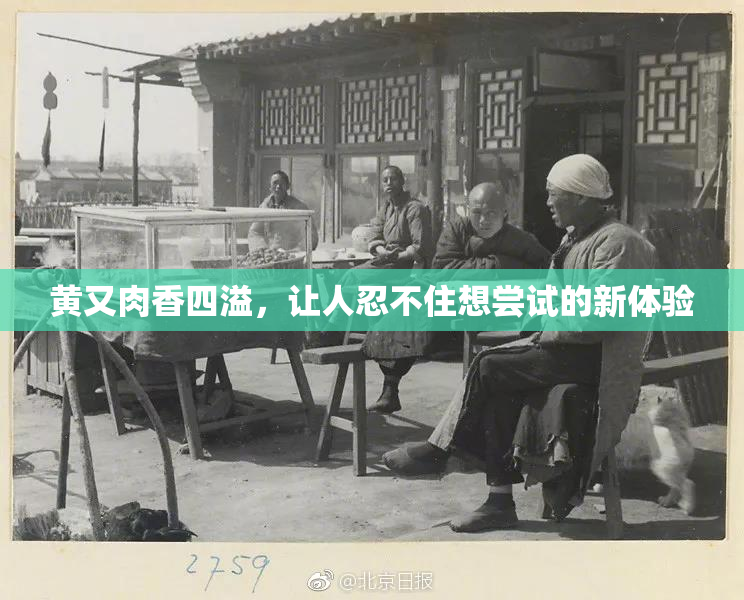 黄又肉香四溢，让人忍不住想尝试的新体验