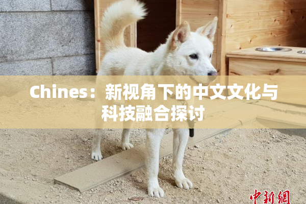 Chines：新视角下的中文文化与科技融合探讨