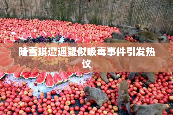 陆雪琪遭遇疑似吸毒事件引发热议