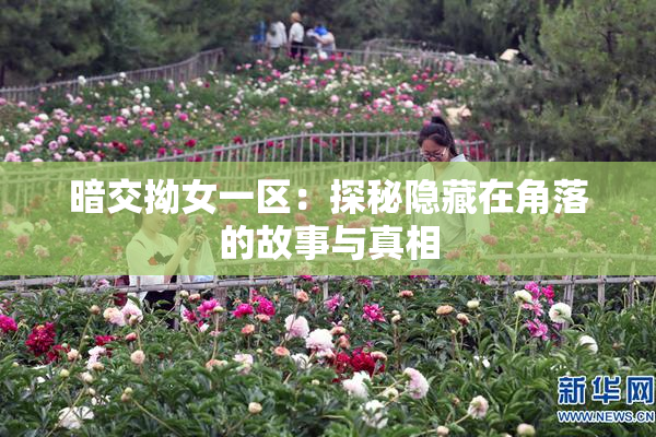 暗交拗女一区：探秘隐藏在角落的故事与真相