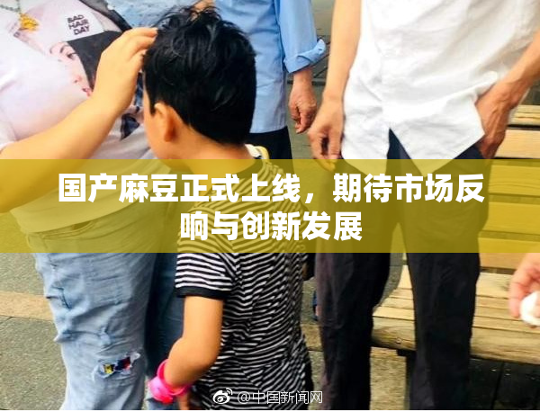 国产麻豆正式上线，期待市场反响与创新发展