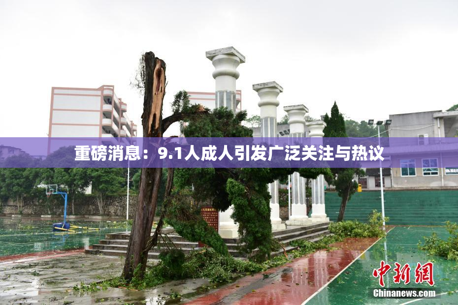 重磅消息：9.1人成人引发广泛关注与热议