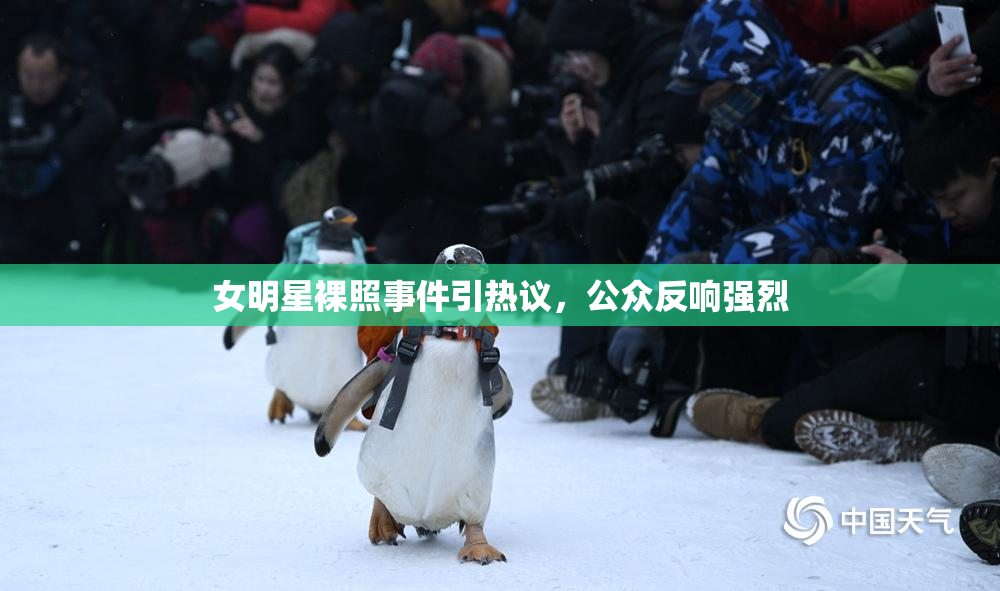 女明星裸照事件引热议，公众反响强烈