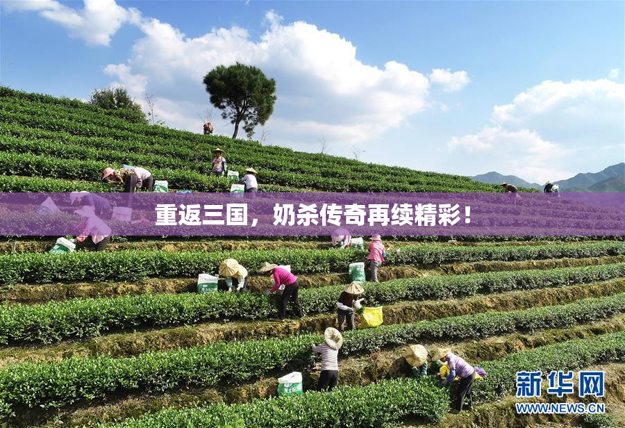 重返三国，奶杀传奇再续精彩！