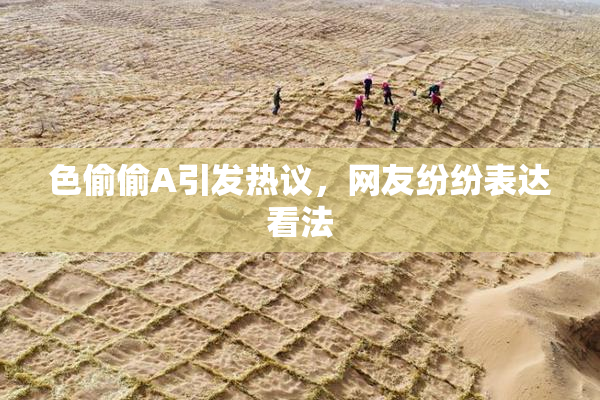 色偷偷A引发热议，网友纷纷表达看法