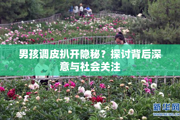 男孩调皮扒开隐秘？探讨背后深意与社会关注