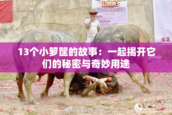 13个小箩筐的故事：一起揭开它们的秘密与奇妙用途