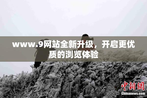 www.9网站全新升级，开启更优质的浏览体验