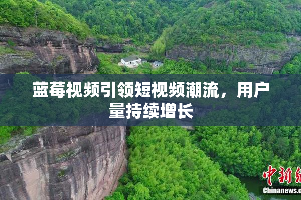 蓝莓视频引领短视频潮流，用户量持续增长