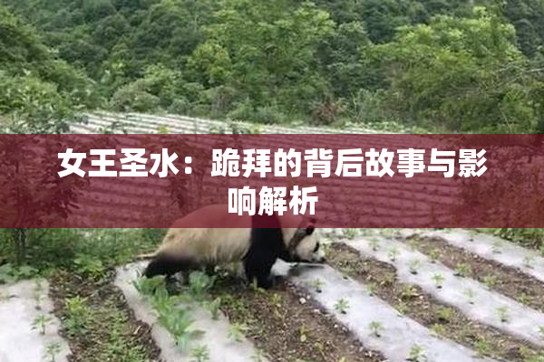 女王圣水：跪拜的背后故事与影响解析