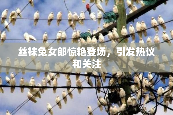 丝袜兔女郎惊艳登场，引发热议和关注