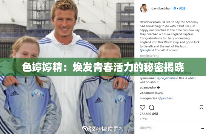 色婷婷精：焕发青春活力的秘密揭晓