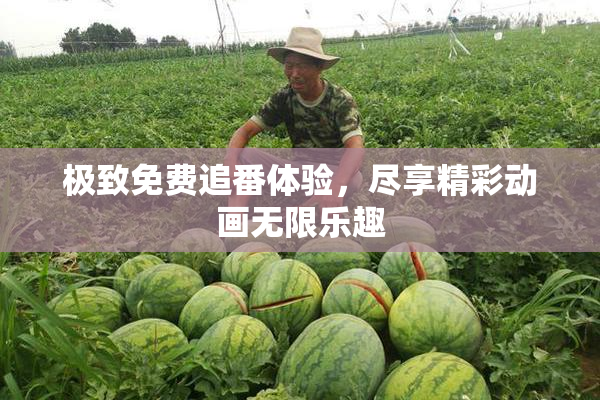极致免费追番体验，尽享精彩动画无限乐趣