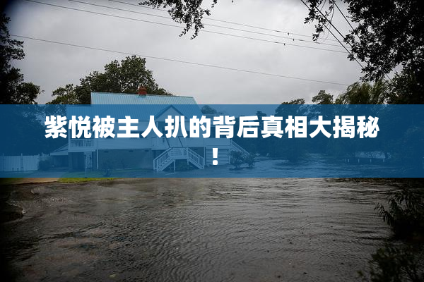 紫悦被主人扒的背后真相大揭秘！