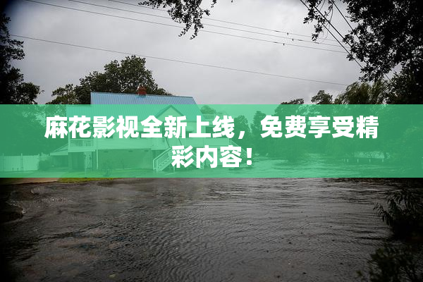 麻花影视全新上线，免费享受精彩内容！