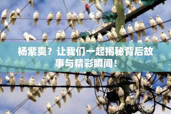 杨紫爽？让我们一起揭秘背后故事与精彩瞬间！