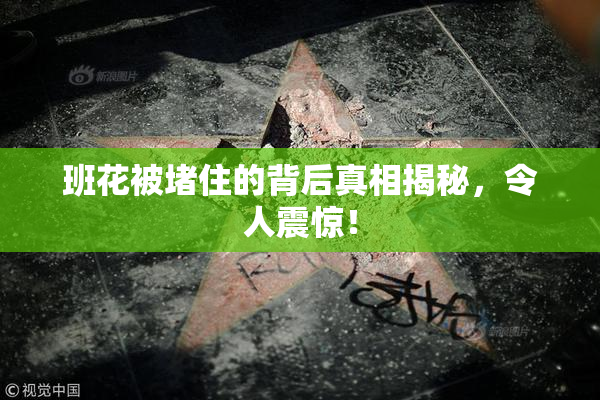 班花被堵住的背后真相揭秘，令人震惊！