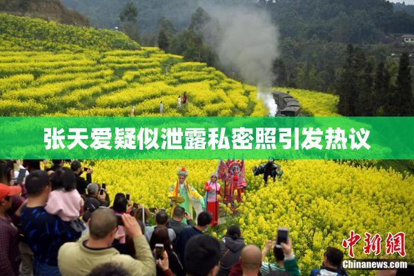 张天爱疑似泄露私密照引发热议