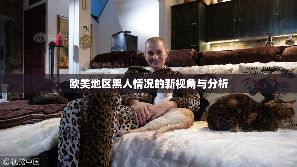 欧美地区黑人情况的新视角与分析