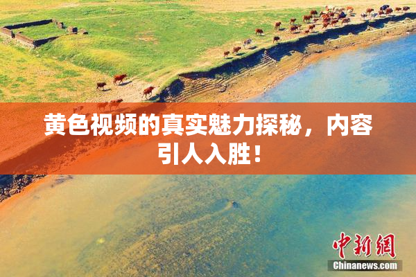 黄色视频的真实魅力探秘，内容引人入胜！