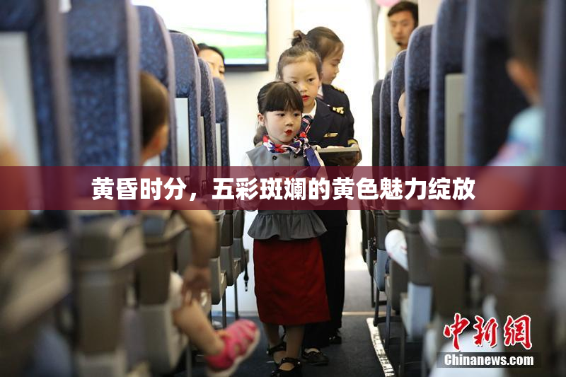 黄昏时分，五彩斑斓的黄色魅力绽放