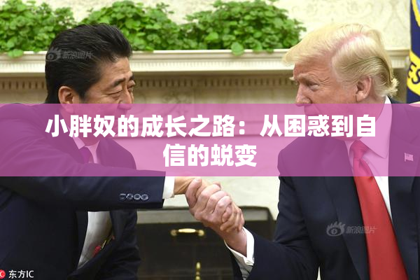 小胖奴的成长之路：从困惑到自信的蜕变