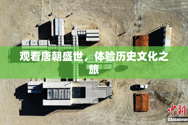 观看唐朝盛世，体验历史文化之旅