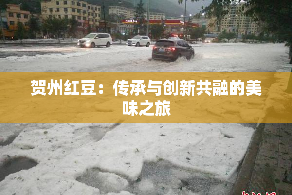 贺州红豆：传承与创新共融的美味之旅