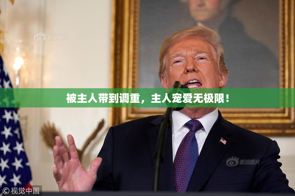 被主人带到调重，主人宠爱无极限！