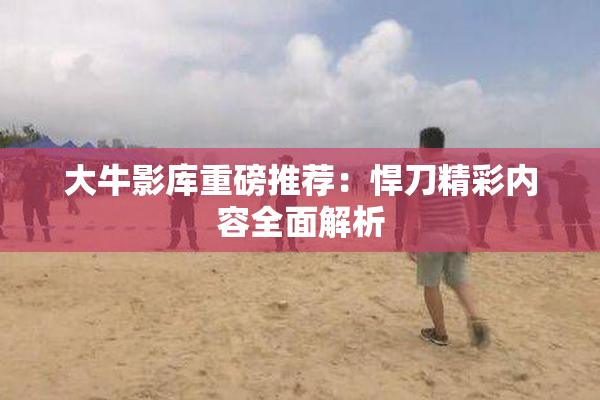 大牛影库重磅推荐：悍刀精彩内容全面解析