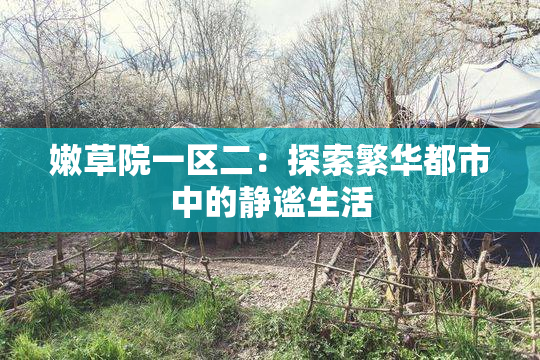 嫩草院一区二：探索繁华都市中的静谧生活