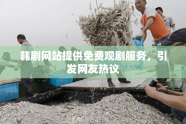 韩剧网站提供免费观剧服务，引发网友热议